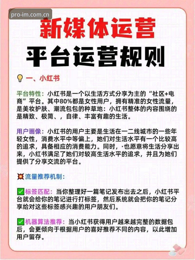 IM电竞平台实用指南：从新手到进阶的必备知识与技巧