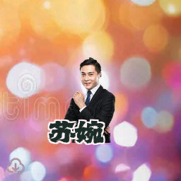 苏婉